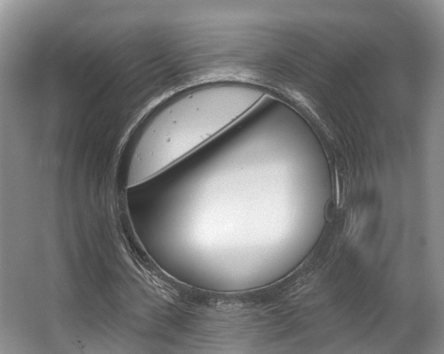 X0000063530531200601201154