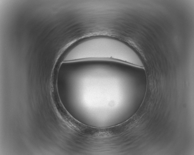 X0000063530536200601201154