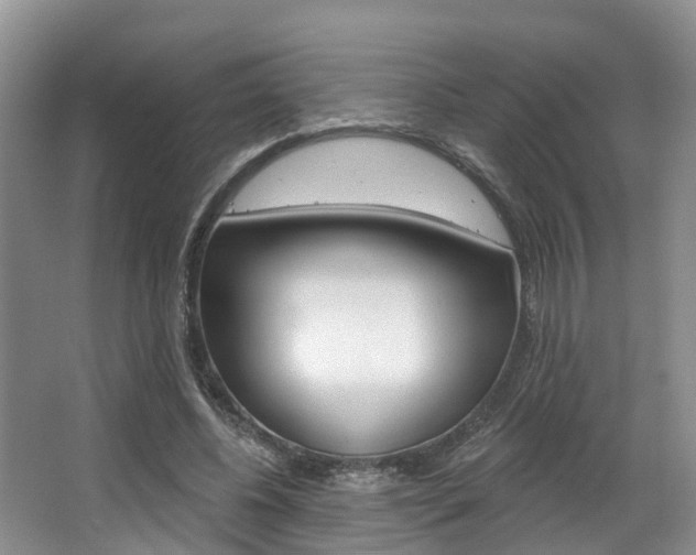 X0000063530540200601201154
