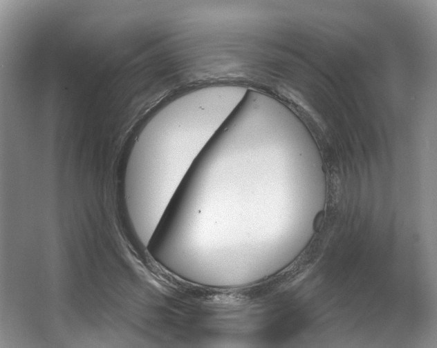 X0000063530541200601201154