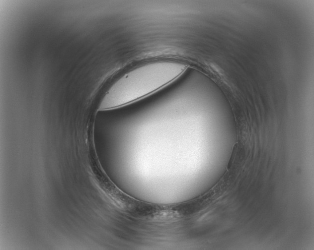 X0000063530543200601201154