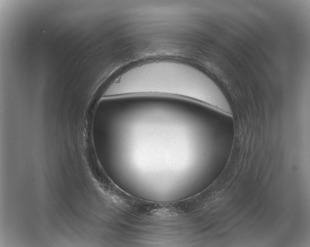 X0000063530544200601201154