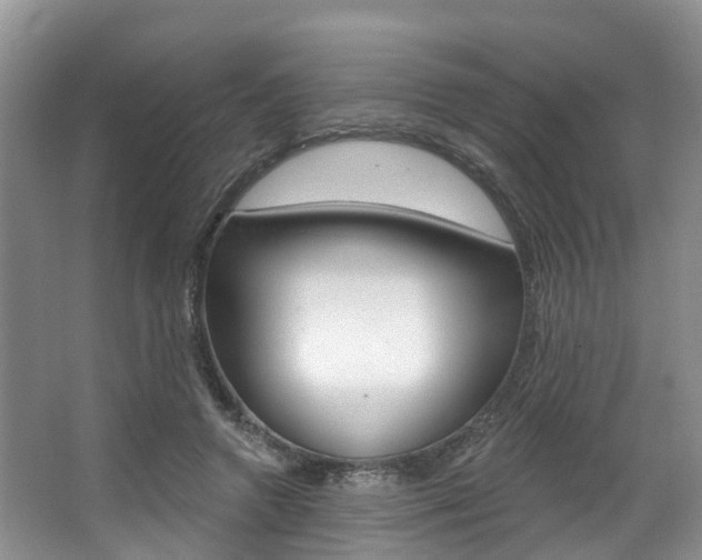 X0000063530546200601201154