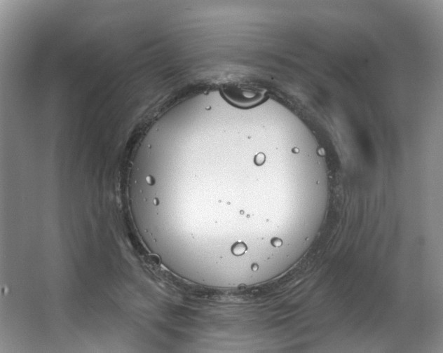 X0000063530547200601201154