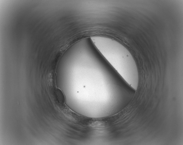 X0000063530551200601201154