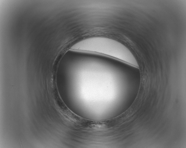 X0000063530552200601201154