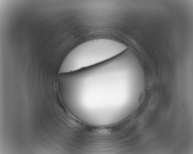 X0000063530553200601201154