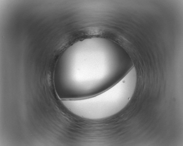 X0000063530556200601201154