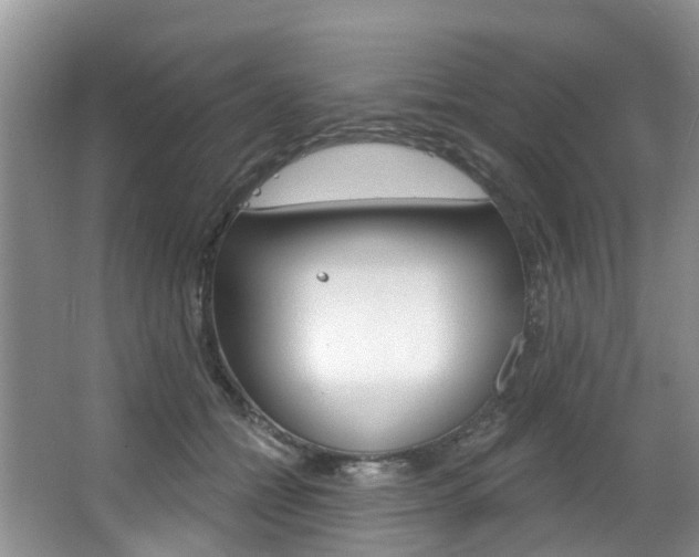X0000063530558200601201154