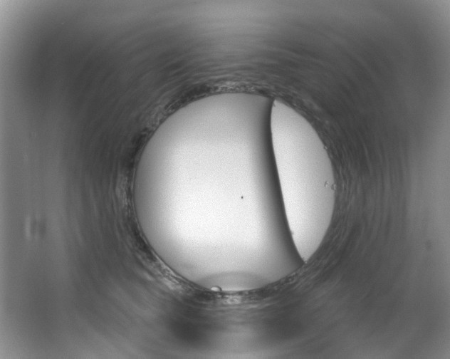 X0000063530565200601201154