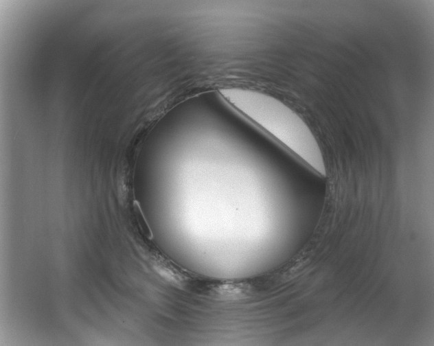 X0000063530566200601201154