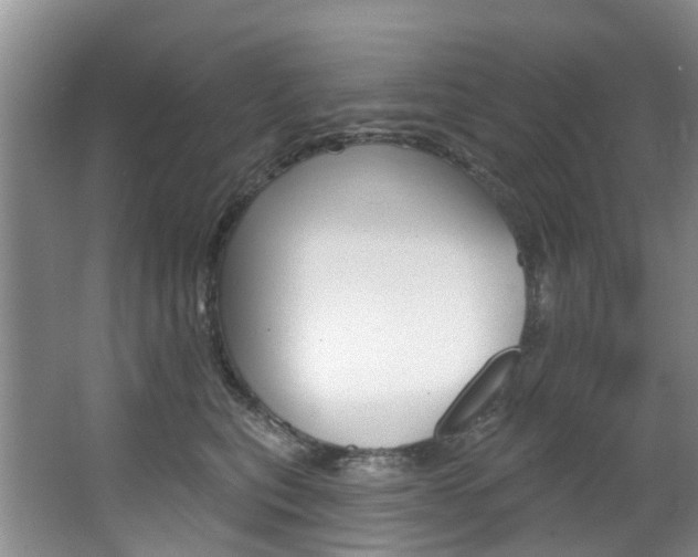X0000063530567200601201155