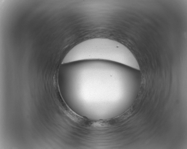 X0000063530568200601201155