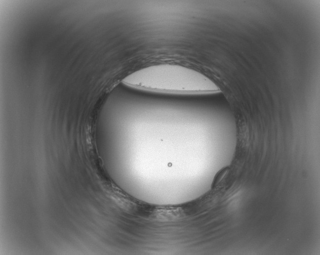X0000063530571200601201155