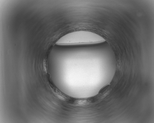 X0000063530575200601201155