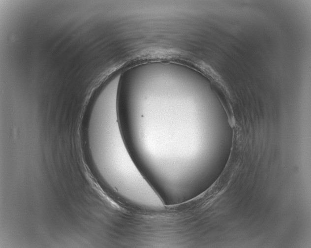 X0000063530581200601201154