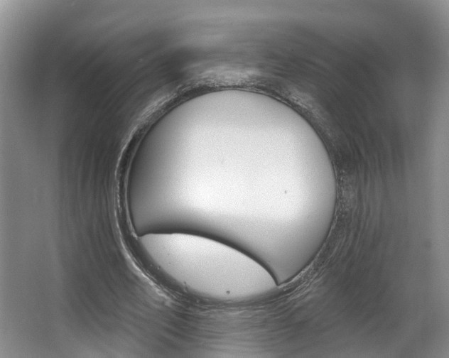 X0000063530582200601201154