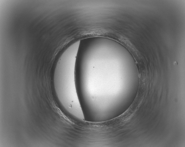 X0000063530585200601201154