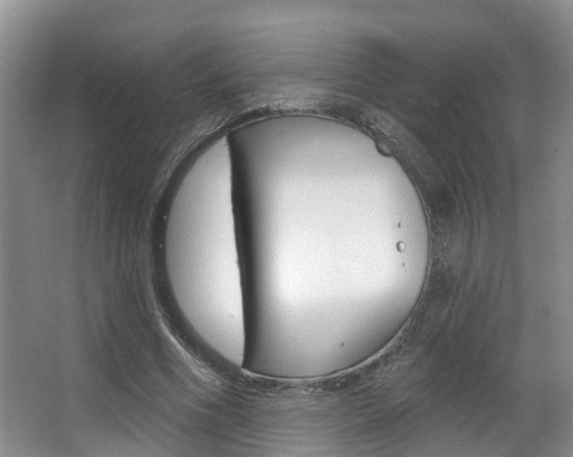 X0000063530586200601201154