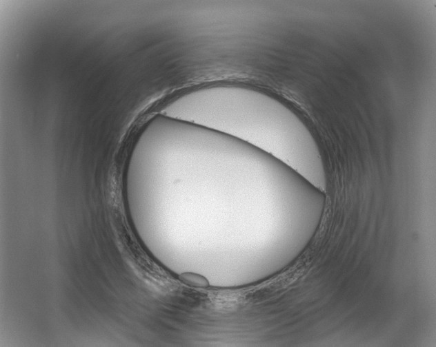 X0000063530587200601201154