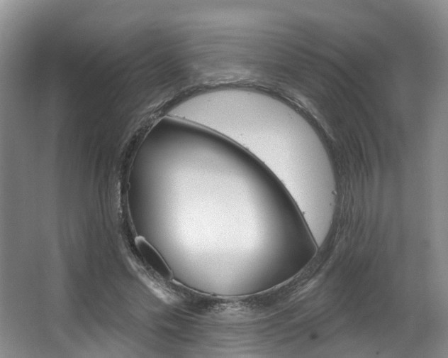 X0000063530589200601201154