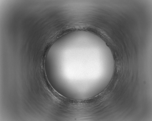 X0000063530593200601201154