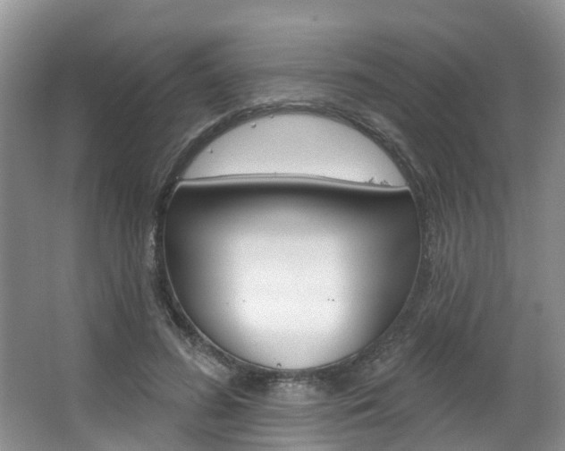 X0000063530596200601201154