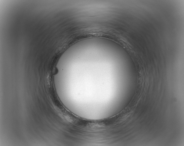 X0000063530597200601201154