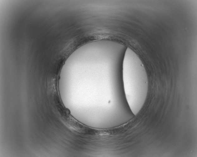 X0000063530598200601201153