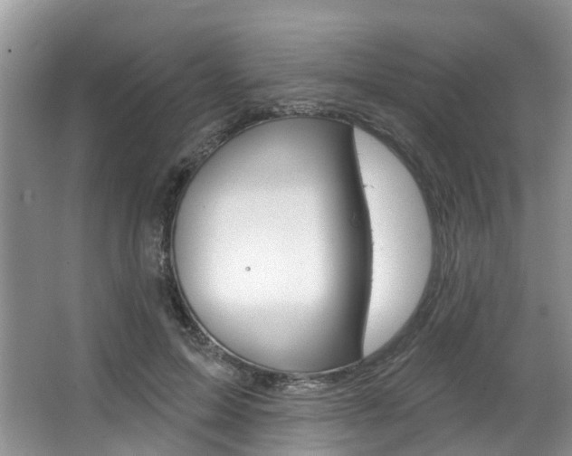 X0000063530599200601201153
