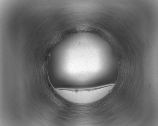 X0000063530601200601201153