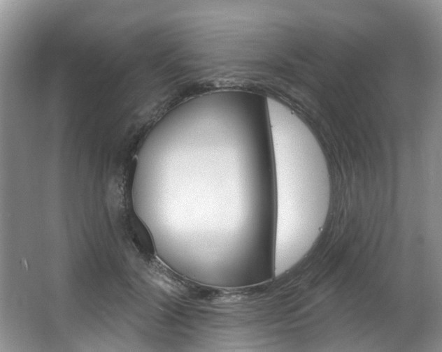 X0000063530604200601201153