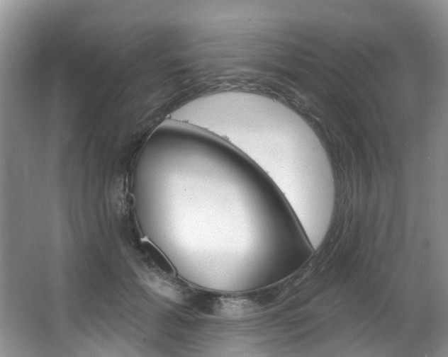 X0000063530605200601201153