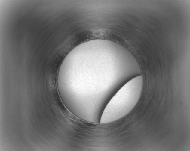 X0000063530606200601201153
