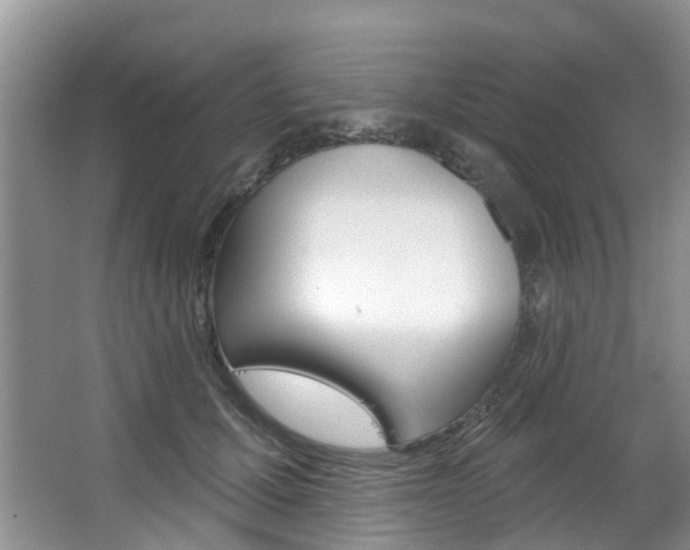 X0000063530607200601201153