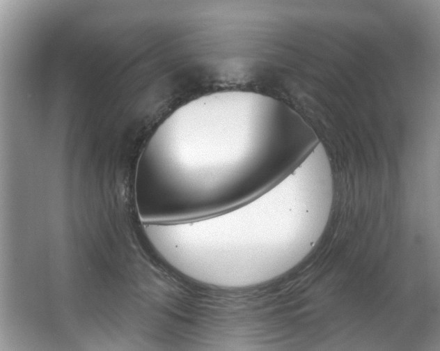 X0000063530608200601201153