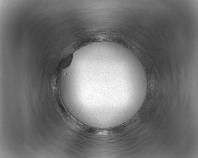 X0000063530611200601201153
