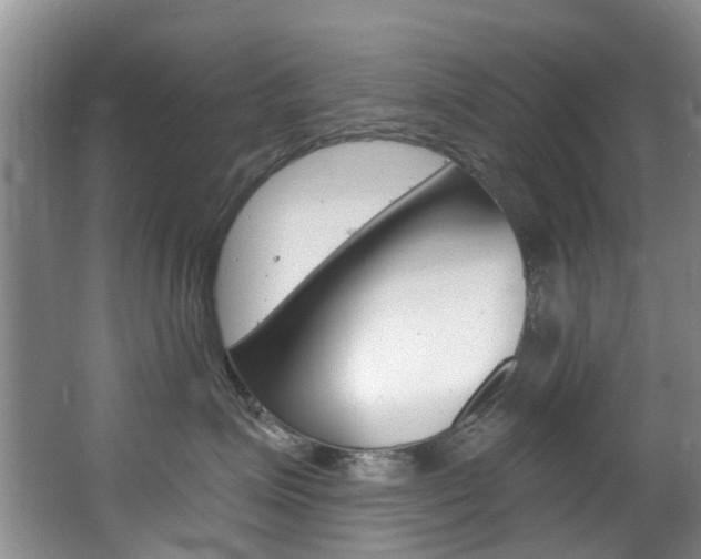 X0000063530623200601201153