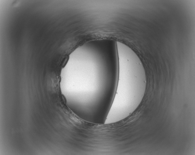 X0000063530624200601201153