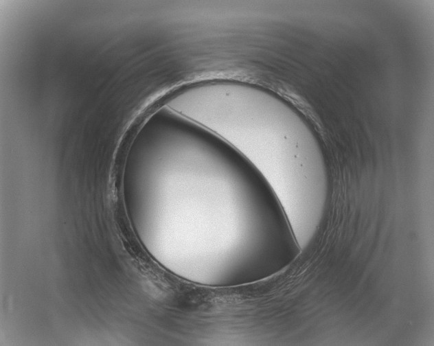 X0000063530628200601201152