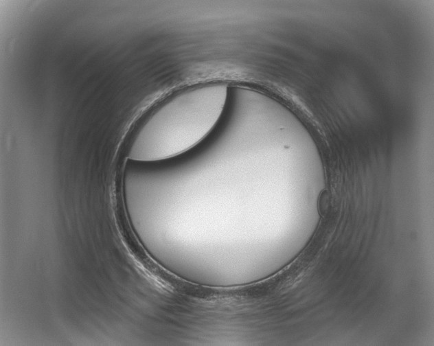 X0000063530629200601201152