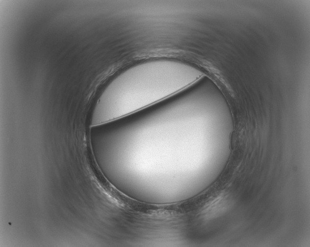X0000063530633200601201152