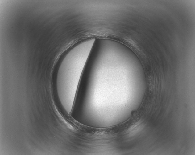 X0000063530634200601201152
