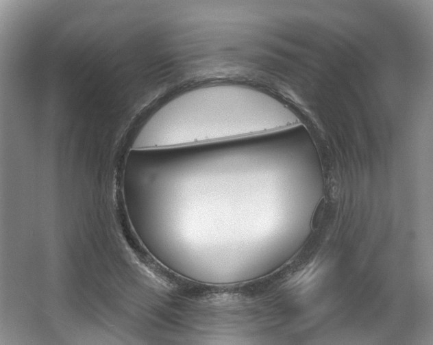 X0000063530637200601201152