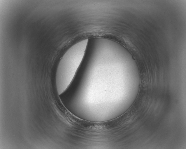 X0000063530639200601201152