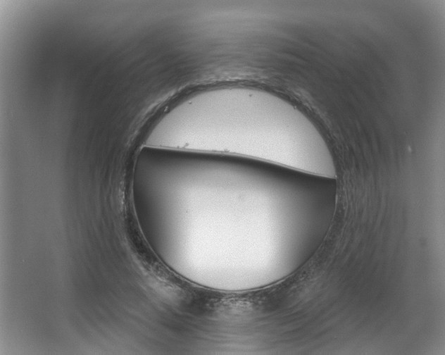 X0000063530640200601201152