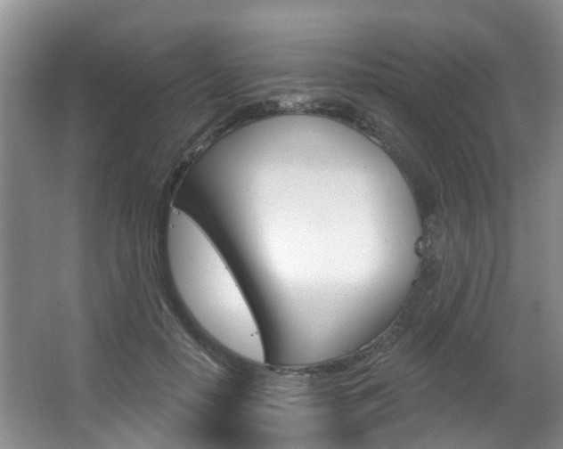 X0000063530650200601201153