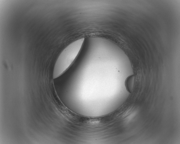 X0000063530651200601201153