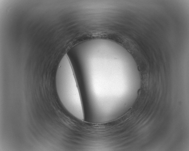 X0000063530653200601201153