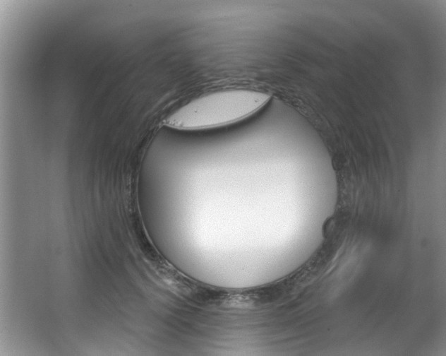 X0000063530656200601201153